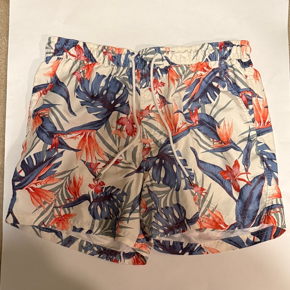 American Eagle Men’s Swim Trunks